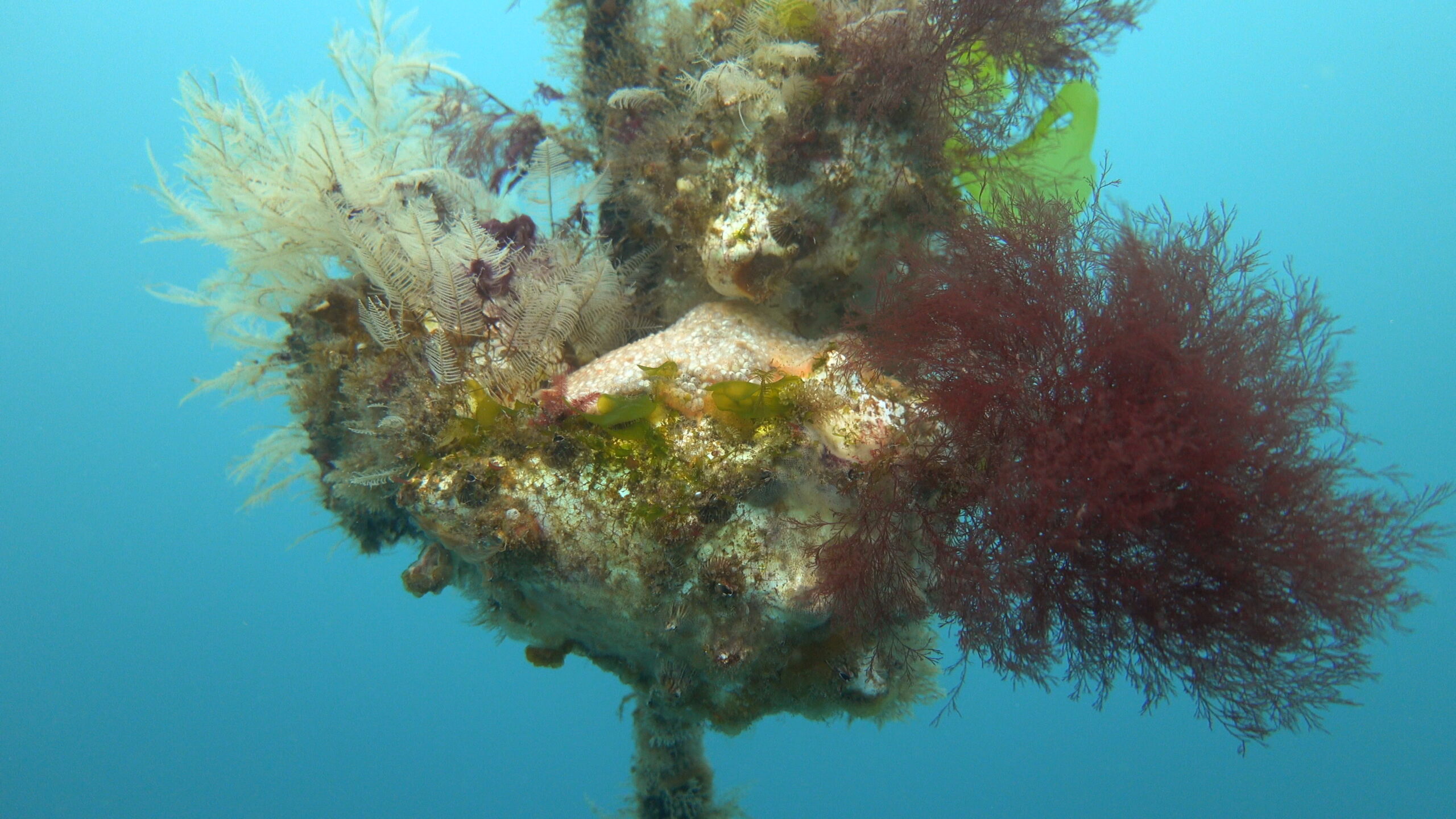 海、島の3d アート作品。 どの角度から見ても美しい厚み海パネル🐚 #海アート #海レジン